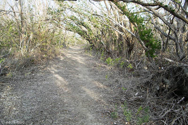 Bayshore Loop Trail