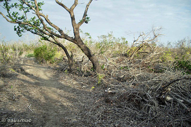 Bayshore Loop Trail