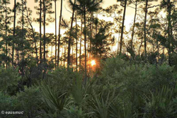 Sunset am Campground