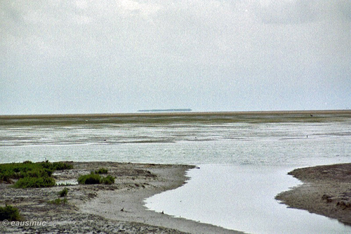 Blick auf den Snake Bight Channel