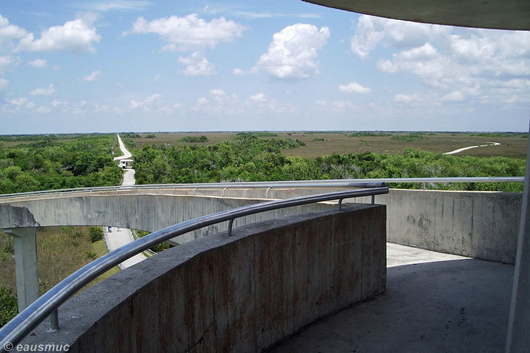 Shark Valley Tower