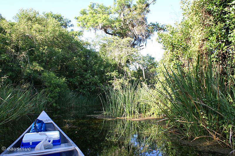 Mit dem Kanu auf dem Turner River