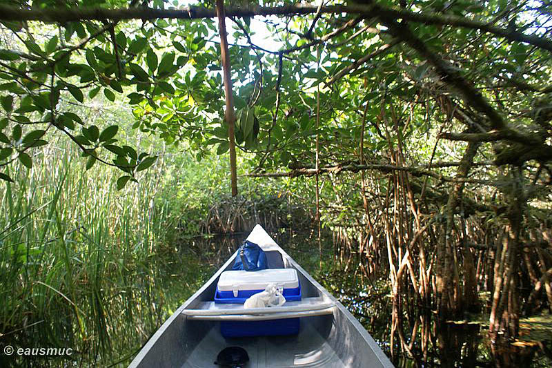 Mit dem Kanu auf dem Turner River