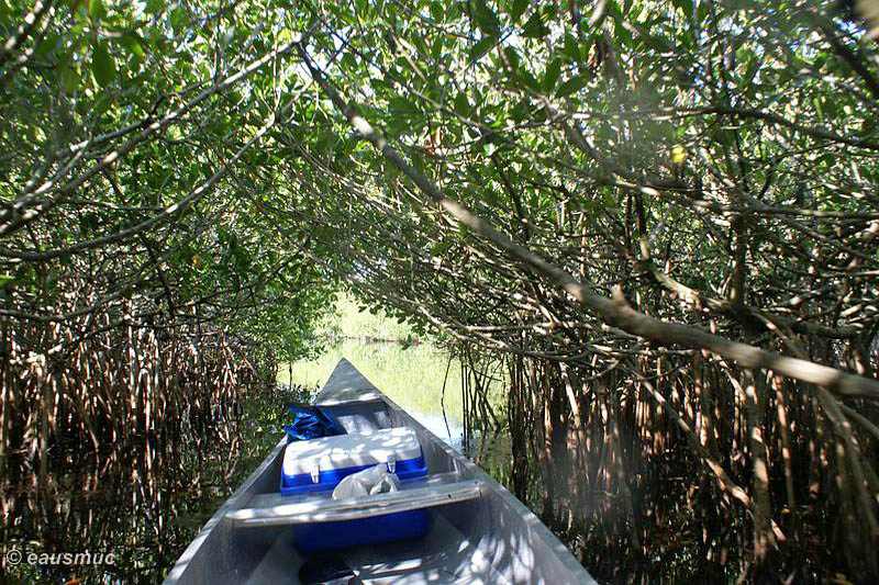 Mit dem Kanu auf dem Turner River