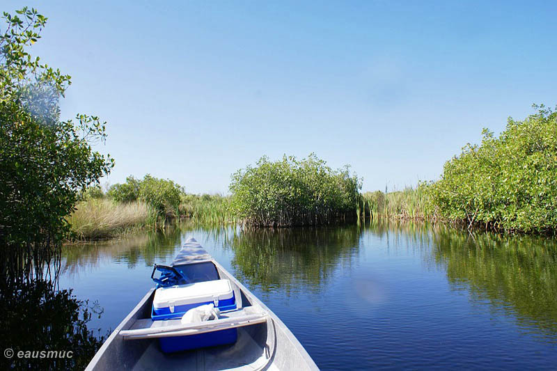 Mit dem Kanu auf dem Turner River