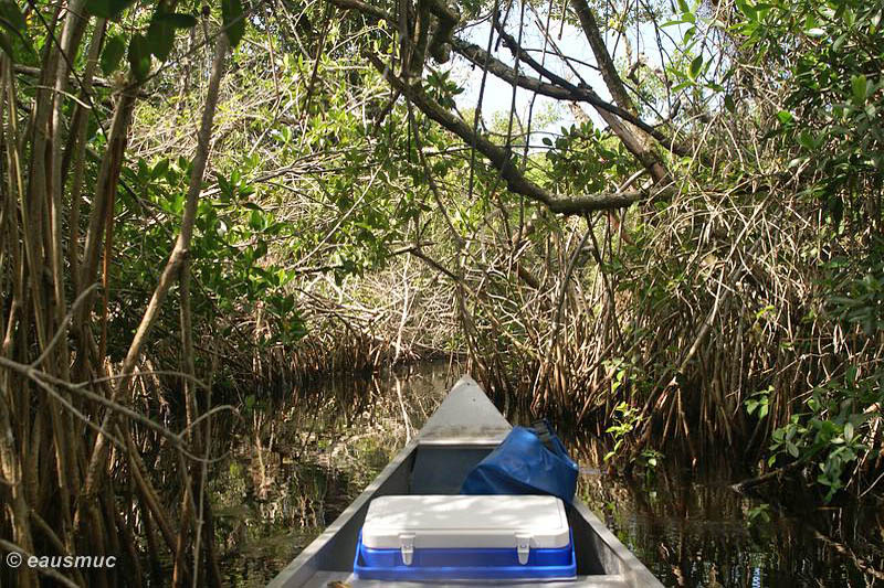 Mit dem Kanu auf dem Turner River