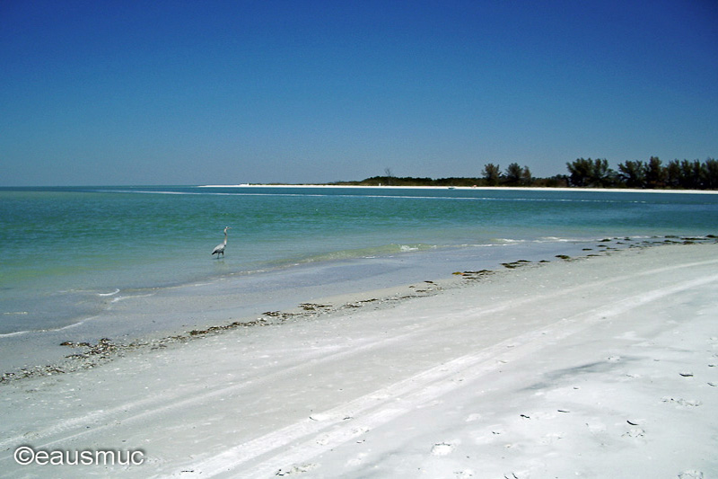 Fort de Soto SP