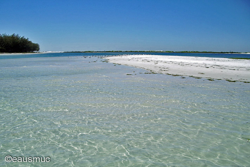 Fort de Soto SP