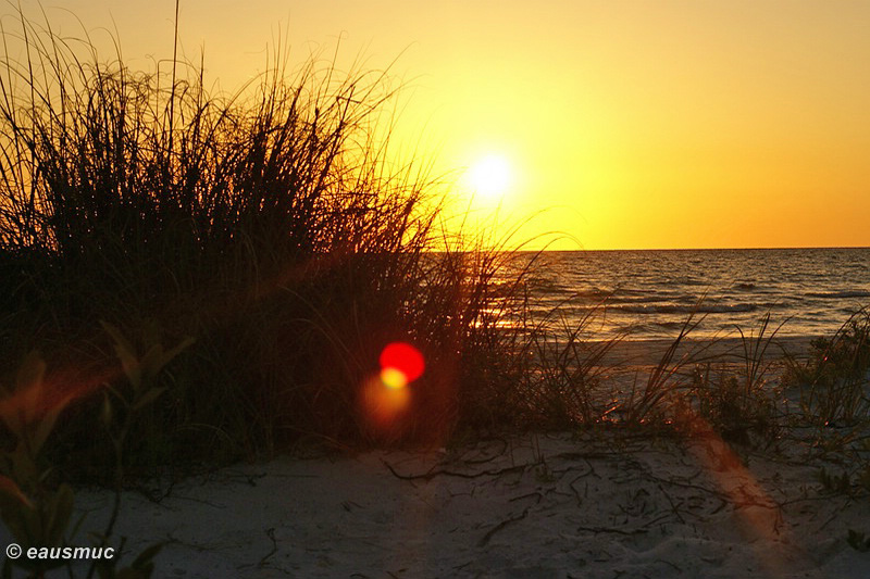 Fort de Soto SP