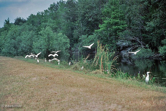 Entlang des Turner River Canal