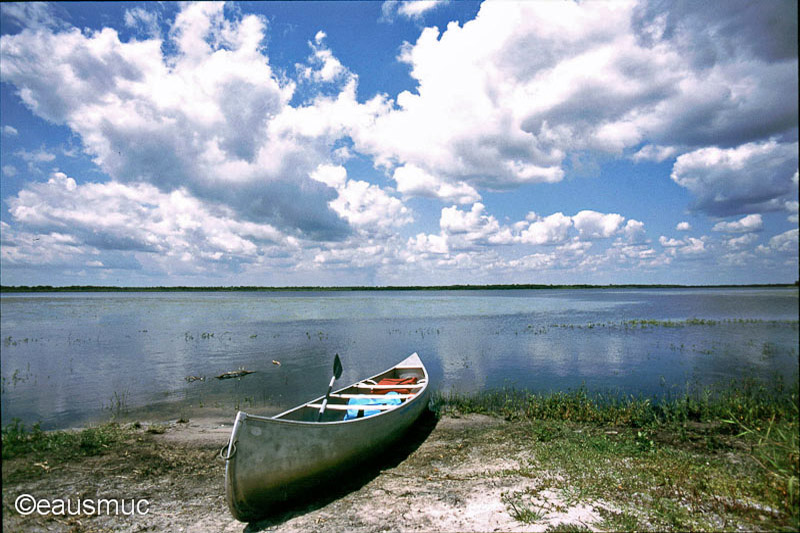 Kanu am Myakka Lake