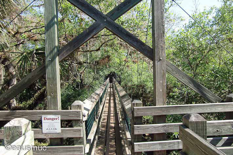 Canopy Walk