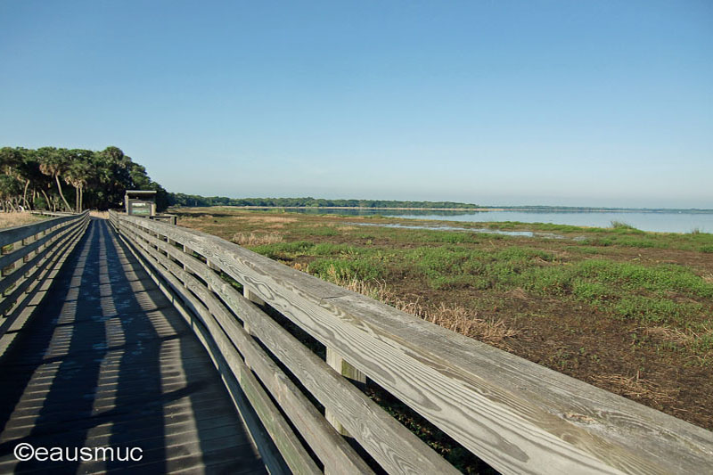 Birdwalk am Upper Myakka Lake