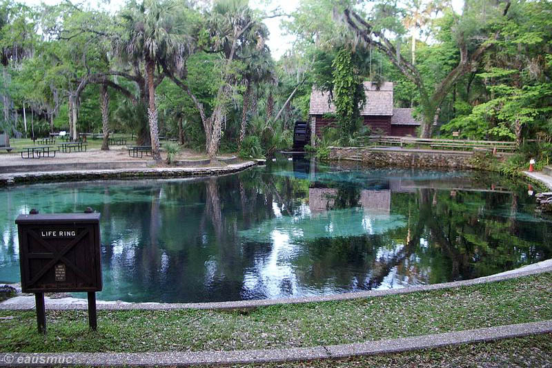 Juniper Springs Quelltopf