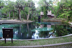 Quelltopf Juniper Springs