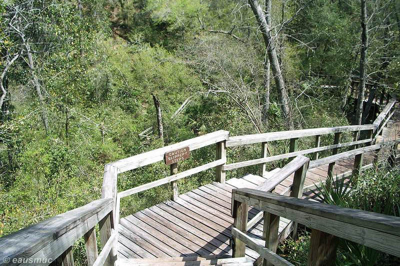 Lake Eaton Sinkhole Trail