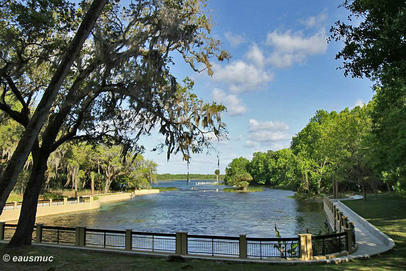 Salt Springs Quelltopf