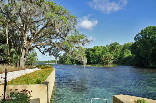 Quelltop Salt Springs