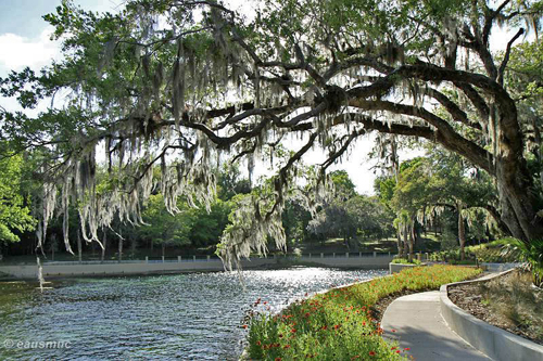 Quelltop Salt Springs