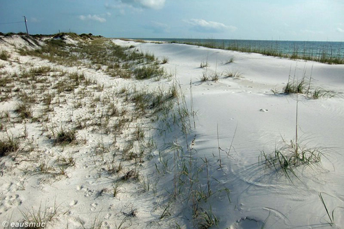 Dünen am Strand