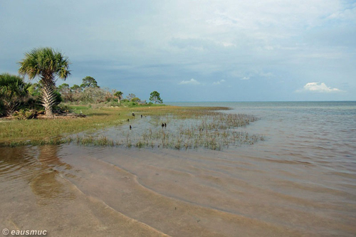 Strand auf der Bucht Seite