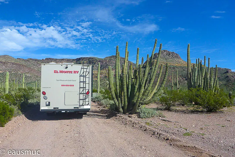 Wohnmobil auf dem Ajo Mountain Drive