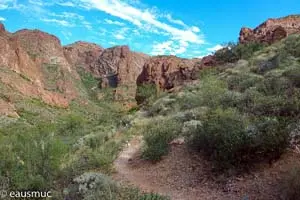 Ajo Window Trail