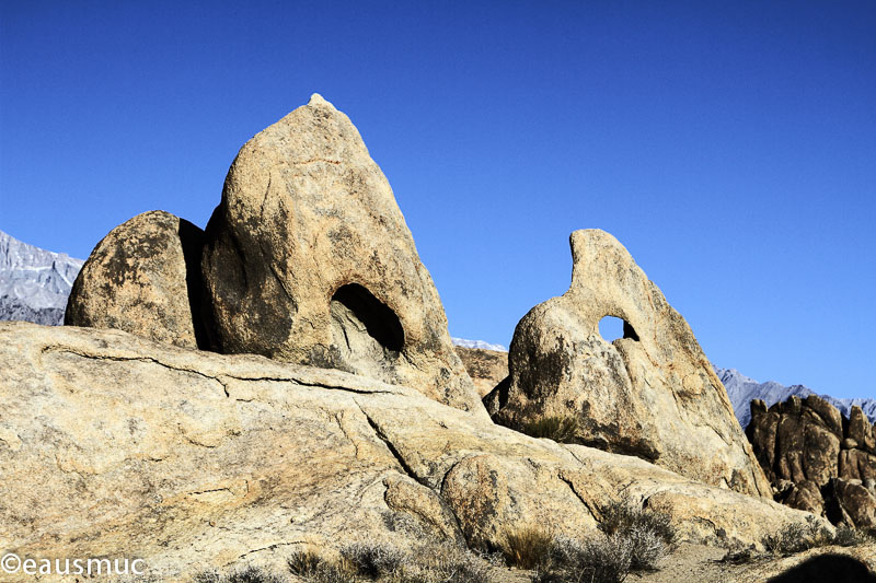 Shark Tooth Arch