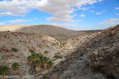 Blick nach Osten in den Canyon