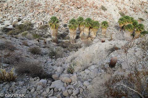 Blick von oben in den Canyon