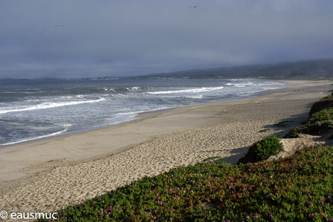 Sandstrand und Pazifik