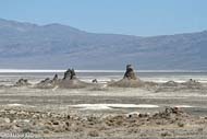 Trona Pinnacles