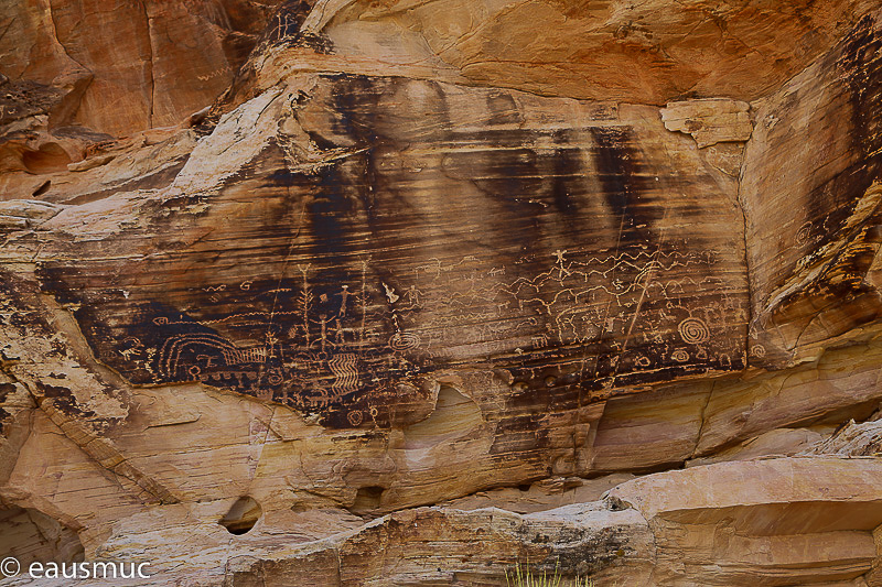 Petroglyphs Newspaper Rock