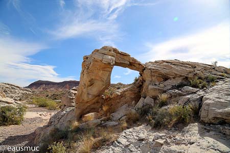 Joshua Tree Arch