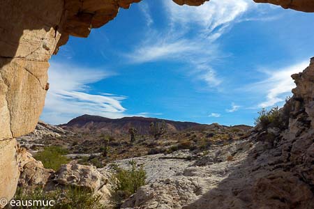 Blick durch den Arch auf Joshua Trees