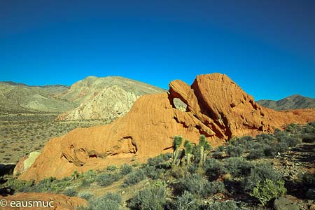 Whitney Pocket Arch