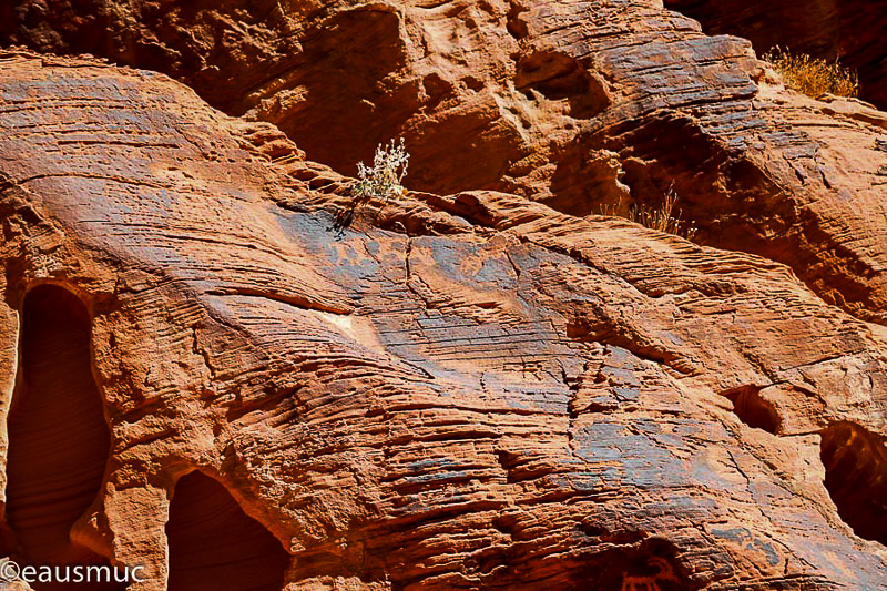 Petroglyphen Panel 3