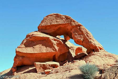 Spider Arch