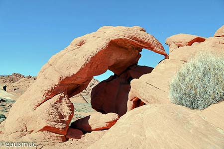 Spider Arch