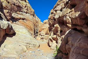 White Domes Trail