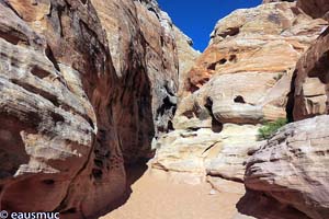 White Domes Trail