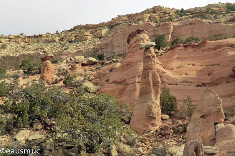 Pinedale Hoodoos Gruppe 1