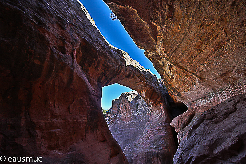 Clover Canyon Bridge