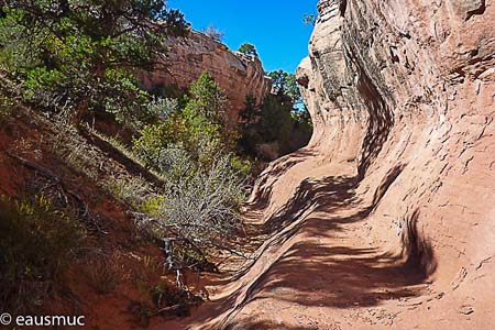 Im Clover Canyon Wash