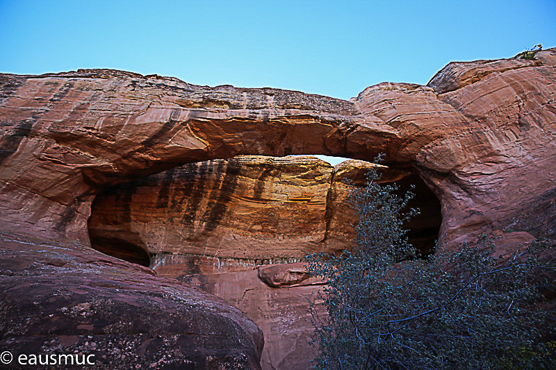 Clover Canyon Bridge