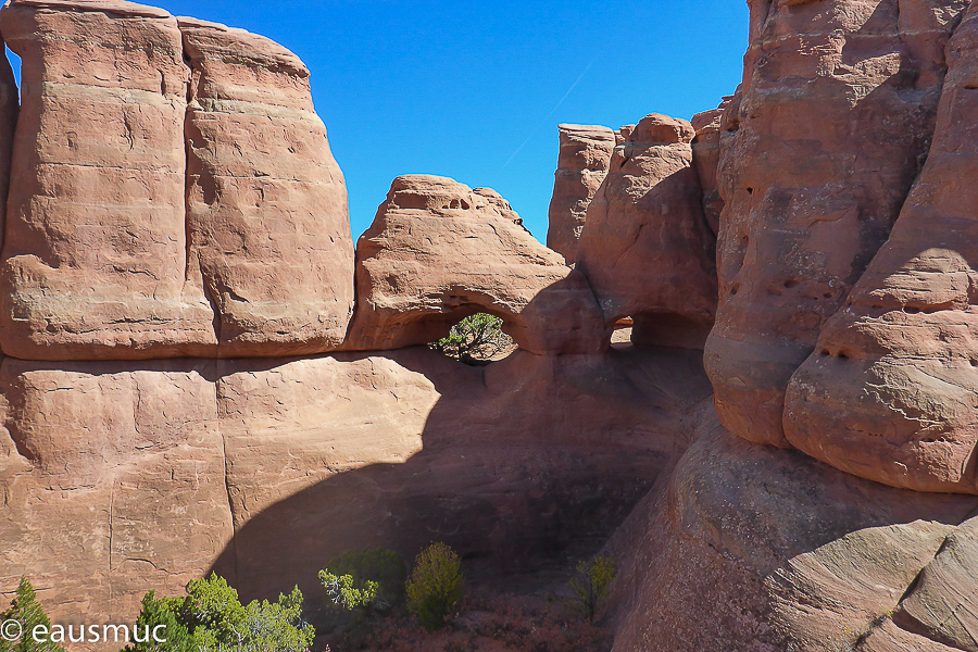 Anniversary Arch