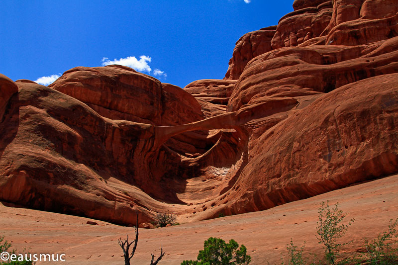 Ring Arch