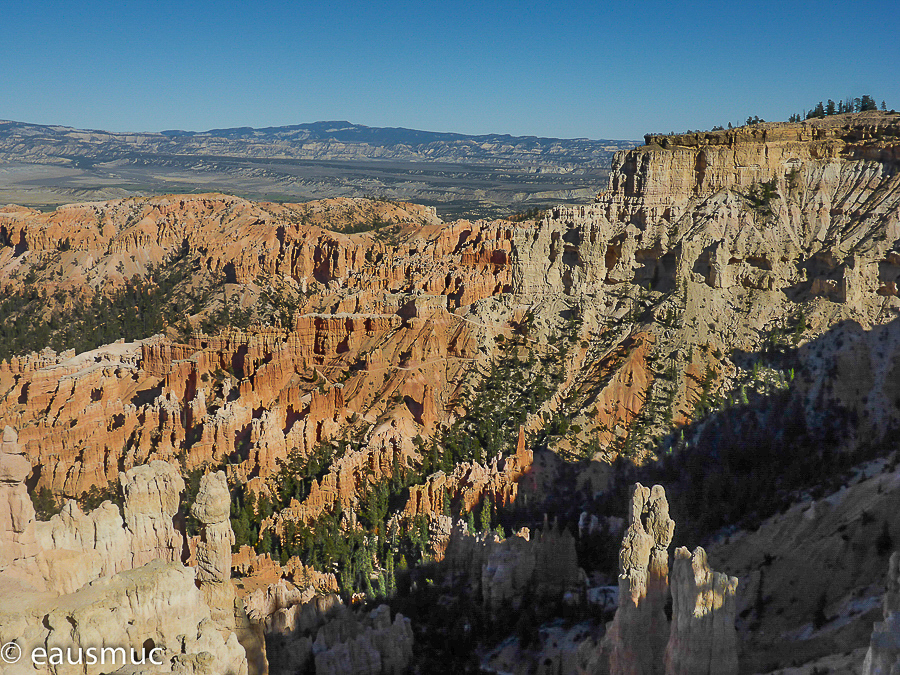 Rim Trail