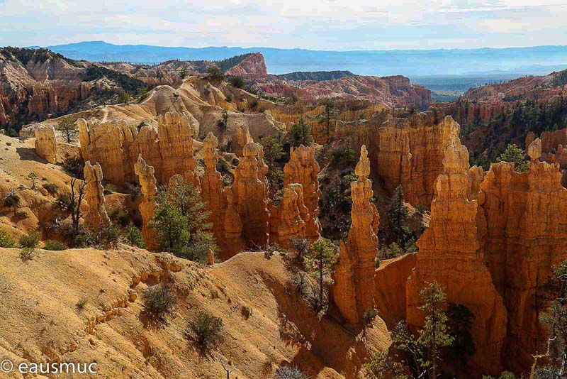 Blick in den Canyon