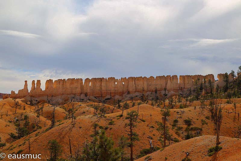 Chinese Wall